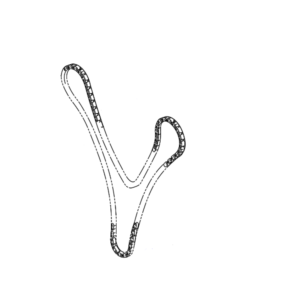 Lexus RX Phase 4 Cam Chain 3.5L Petrol Hybrid