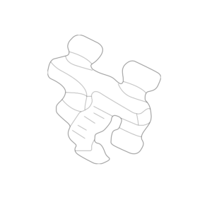 Lexus IS Phase 1 Rear Pad Spring