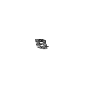 Lexus GS-F N/S Front Tow Eye Cover