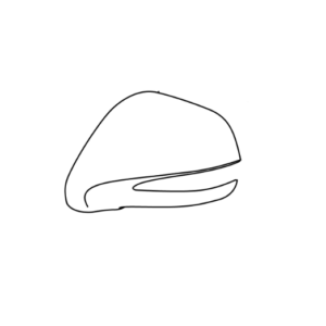 Lexus RX Phase 3 N/S Wing Mirror Cap